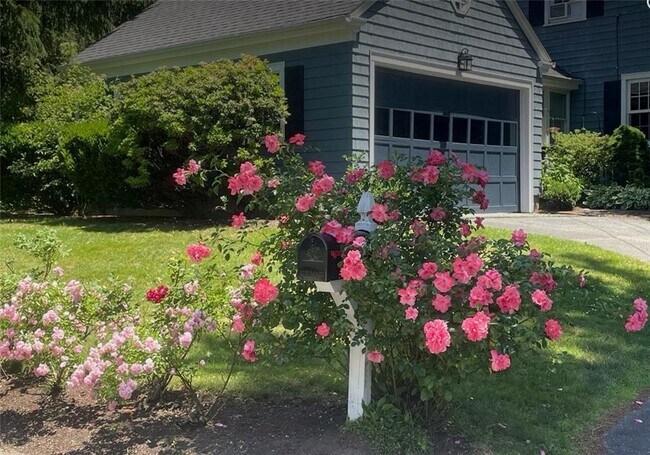 Foto del edificio - 46 Bowden Ave