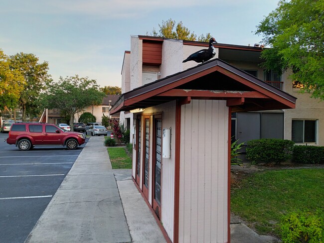 Exterior front view - 2483 Citrus Club Ln