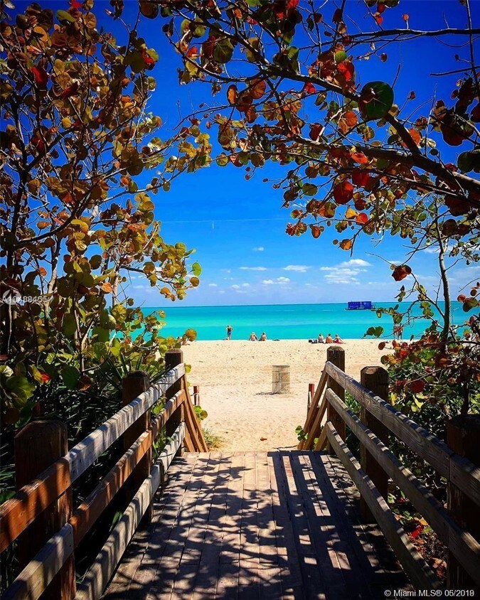 2642 Collins Ave, Miami Beach, FL 33140 Condo for Rent in Miami Beach