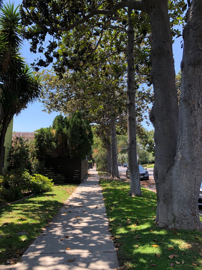 Quiet tree lined street. - 7624 Norton Ave