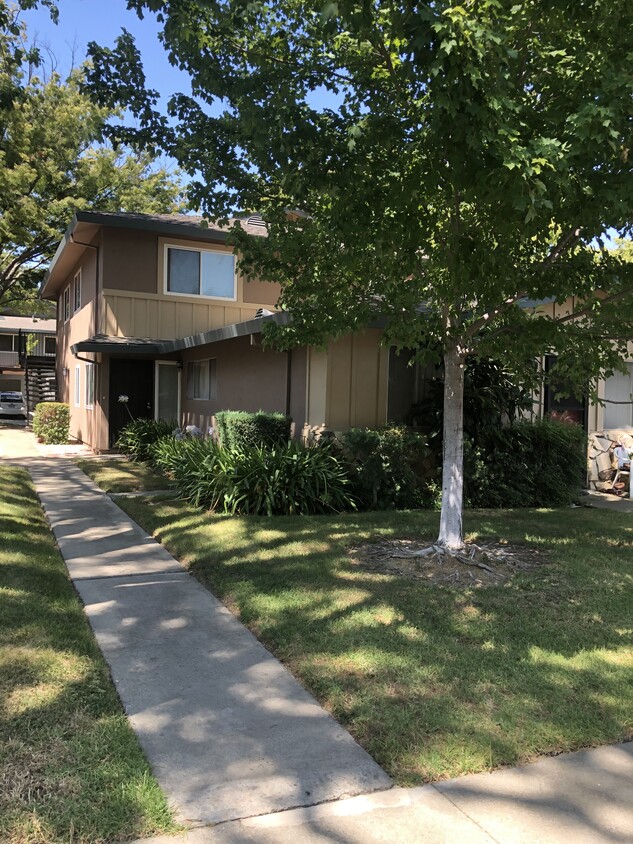 Vecindario con tachas de árboles - 8058 Ensenada Dr