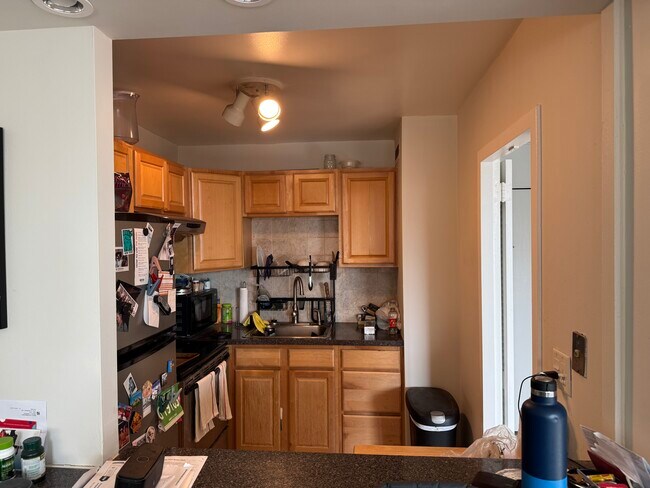 kitch - 1255 N Sandburg Ter