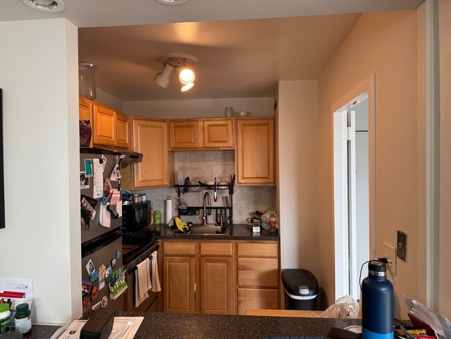 kitch - 1255 N Sandburg Ter
