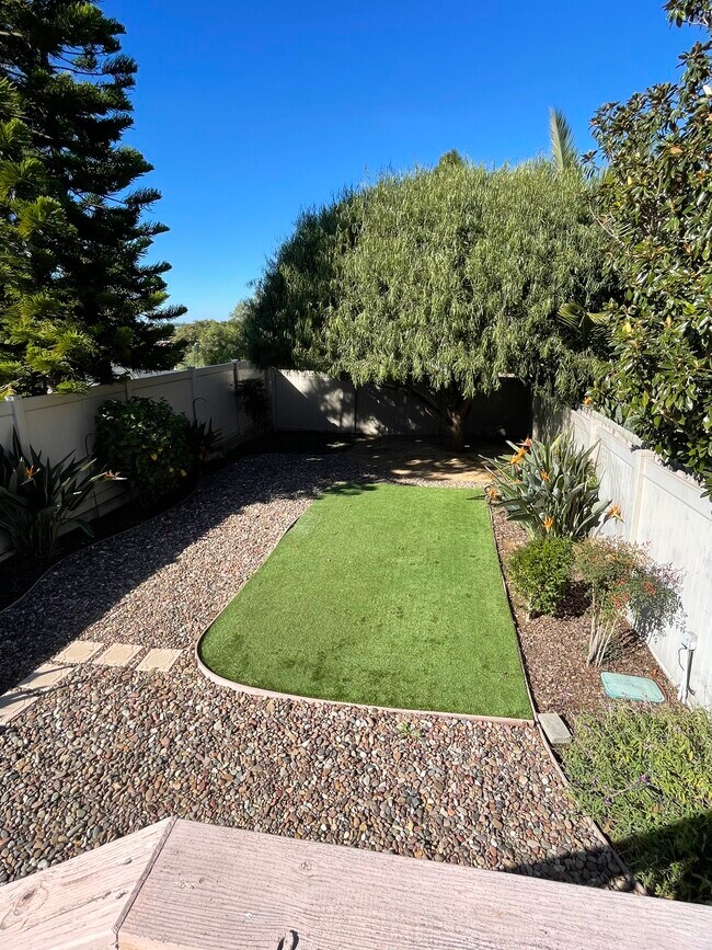 Backyard - 1346 Dorcas St