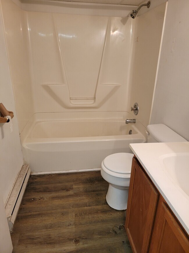 Apt 2 Basement - 119 Bowery St