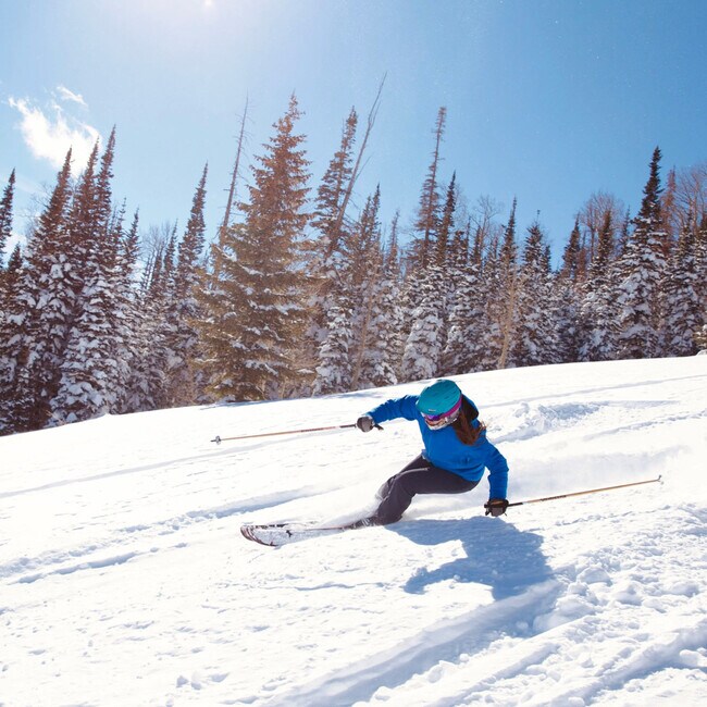 Foto del edificio - 220 Circle Dr