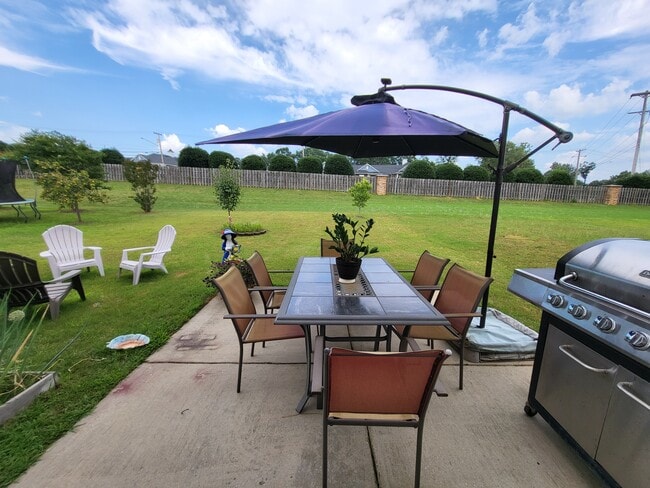 Backyard - 968 Willow Creek Dr