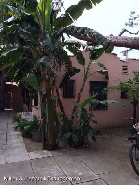 Foto del edificio - 12218 Venice Blvd