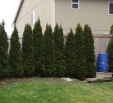 Building Photo - 11118 Paine Field Way
