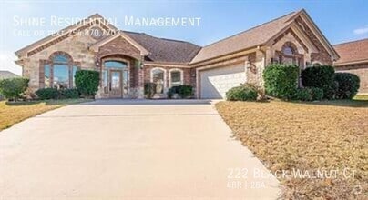 Building Photo - 222 Black Walnut Ct
