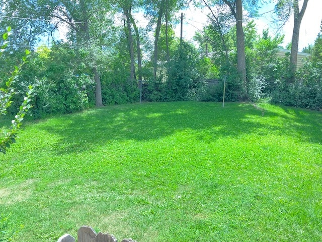 Building Photo - 113 Pierce Dr