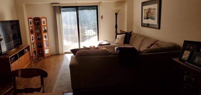 Large LR leading to rear brick patio - 20 Sutphin
