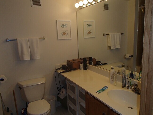 bathroom - 1250 W Van Buren St
