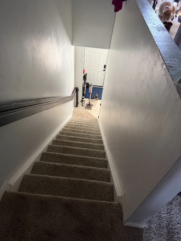 Building Photo - 3646 Pine Oak Cir