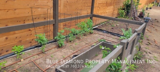 Building Photo - Gorgeous Solar powered 3 BR, 2 BA home on ...