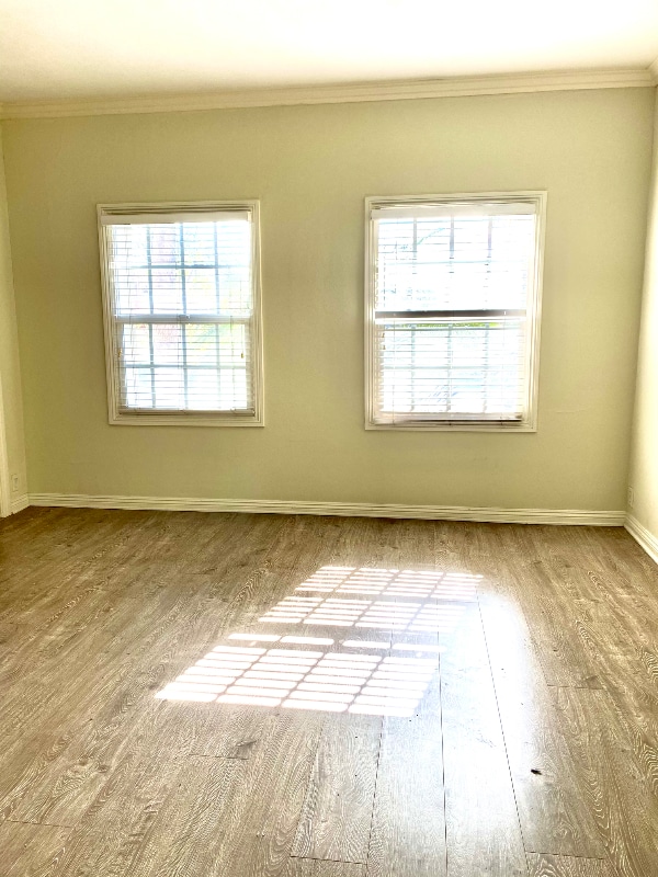 Building Photo - 445 S Central Ave