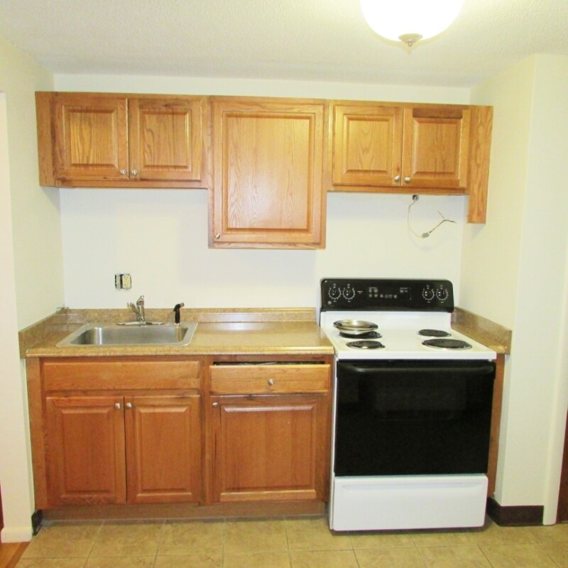 Kitchen area - 293 Willard St