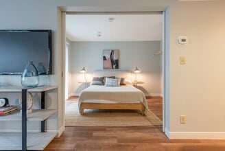 1 Bedroom - The Landing at 1775 Andover St.
