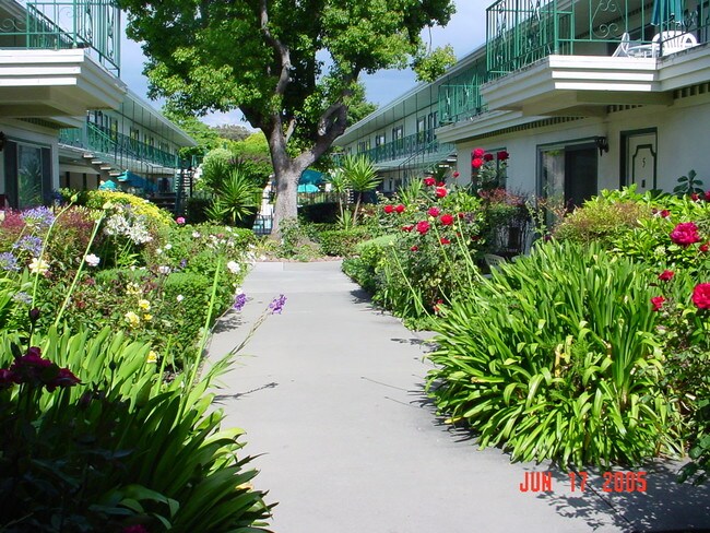 The Colonial House Apartments San Jose Ca Apartments Com