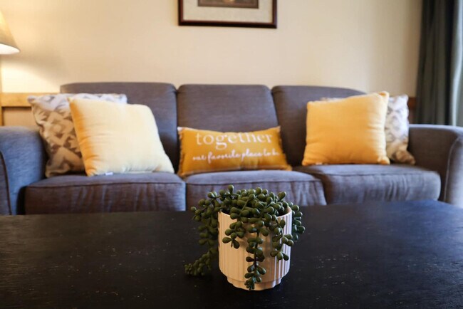 Foto del edificio - 455 Village Rd