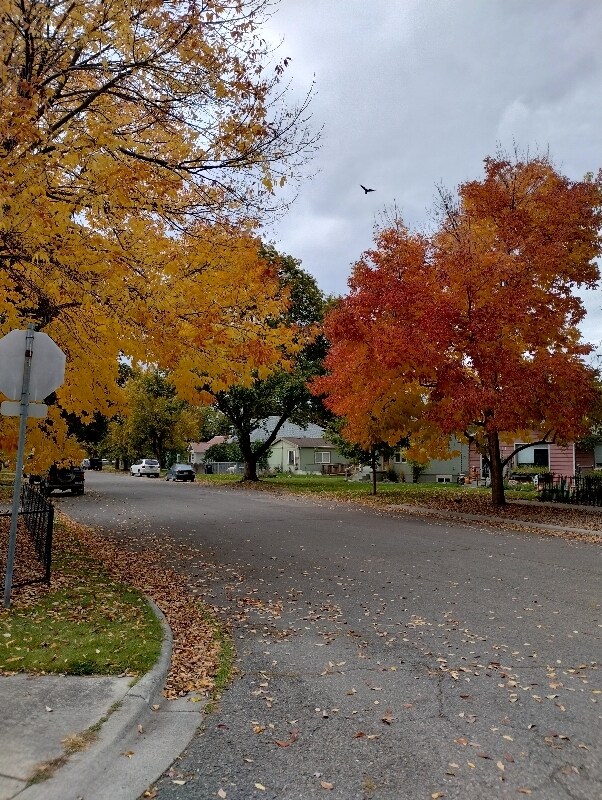 Foto del edificio - 1949 S 9th St W