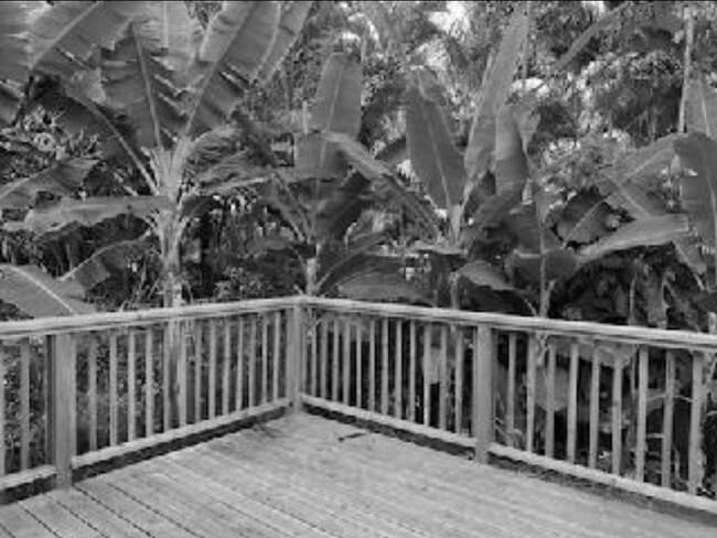 Building Photo - 5150 Kawaihau Rd