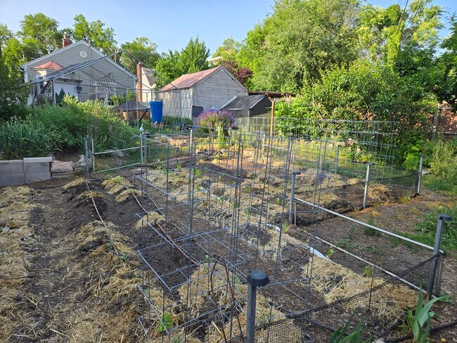 Backyard - 864 E 200 S House