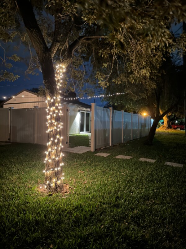 Primary Photo - 3610 Hargill Dr