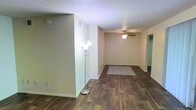 This single-story space showcases an open, functional layout with dark hardwood-style flooring that runs throughout, adding warmth and a sense of continuity across the living area. The neutral, light-toned walls provide a clean and versatile backdrop, making the space adaptable to a variety of interior styles. A textured popcorn ceiling adds a classic touch overhead, while a ceiling fan with an integrated light fixture serves as a practical and understated focal point in the main living area. The open floor plan allows for flexible furniture arrangement, with a defined area highlighted by a patterned area rug, suggesting a natural gathering or seating zone. A freestanding arc floor lamp provides supplemental lighting, complementing the ceiling fixture. Crisp white baseboards frame the flooring throughout, adding a finished and tidy appearance. A partial interior wall creates a subtle division within the open space, offering a degree of separation without fully closing off the layout. A doorway visible at the far end hints at additional rooms or areas beyond. Overall, the space presents a straightforward, clean, and welcoming environment with practical finishes suited for everyday living.