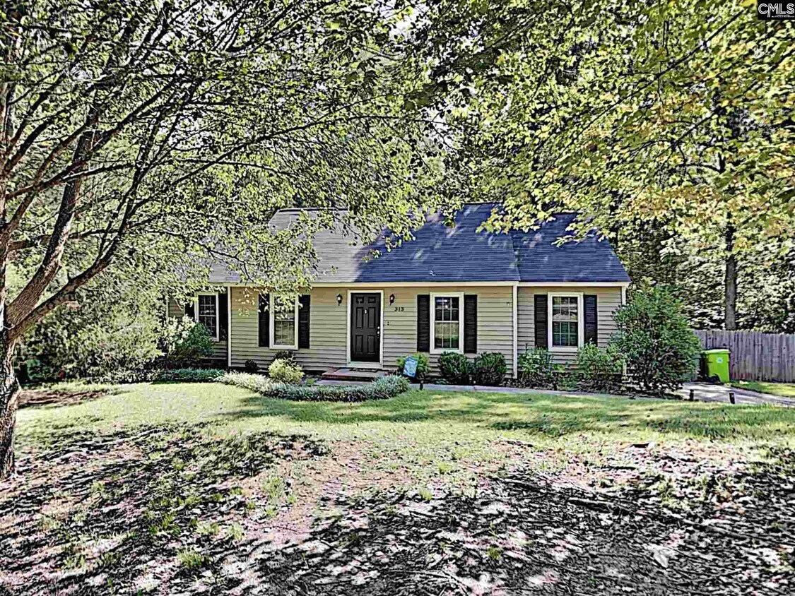 313 Southampton Dr, Irmo, SC 29063 House Rental in Irmo, SC