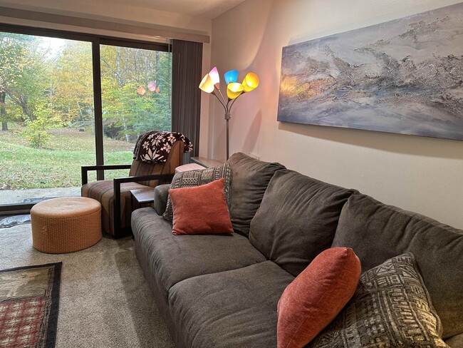 Foto del edificio - 24 Nordic Wilderness Rd