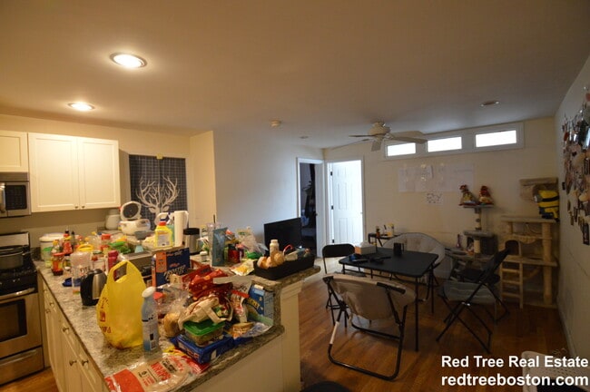 Photo - 56 Egmont St Apartment