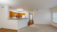 Located at 550 W 22nd St in Georgetown, TX, this single-story residence offers four bedrooms and two bathrooms within a thoughtfully arranged floor plan. The combined kitchen and living area forms the heart of the home, where warm honey-toned cabinetry, granite-look countertops, and a peninsula with a sink define the kitchen space. White appliances including a range and refrigerator complement the functional layout, while wood-look flooring adds warmth underfoot. The living area flows naturally from the kitchen, featuring soft neutral carpet and a sliding glass door with vertical blinds that invites natural light and outdoor access.

A central hallway connects the living areas to the four bedrooms, each finished with plush carpet and neutral walls ready for personalization. The primary bedroom is generously sized and includes access to a walk-in closet outfitted with wire shelving for organized storage. Additional bedrooms feature windows with blinds that allow natural light. The two bathrooms are clean and functional, with one showcasing a tub-shower combination with white tile surround, a granite-topped vanity, and wood-look flooring. The overall aesthetic is bright and move-in ready, offering a practical layout well-suited for shared or family living in Georgetown.