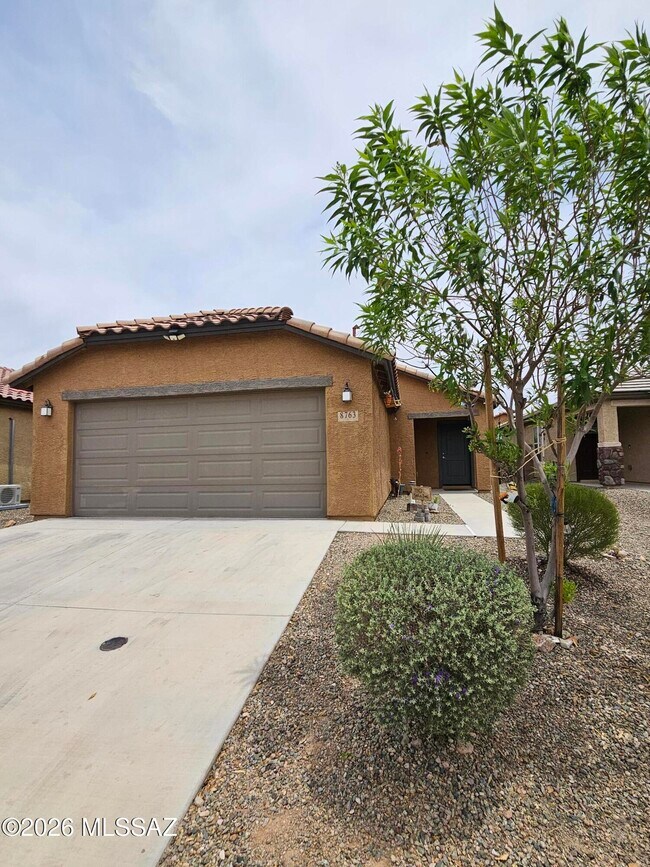Building Photo - 8763 E Pebble Stone Ln