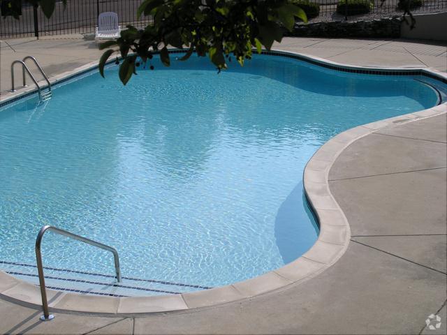 Pool - Sunset Plaza Apartments