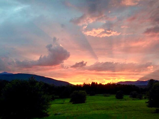 Building Photo - 475 Black Bear Holw