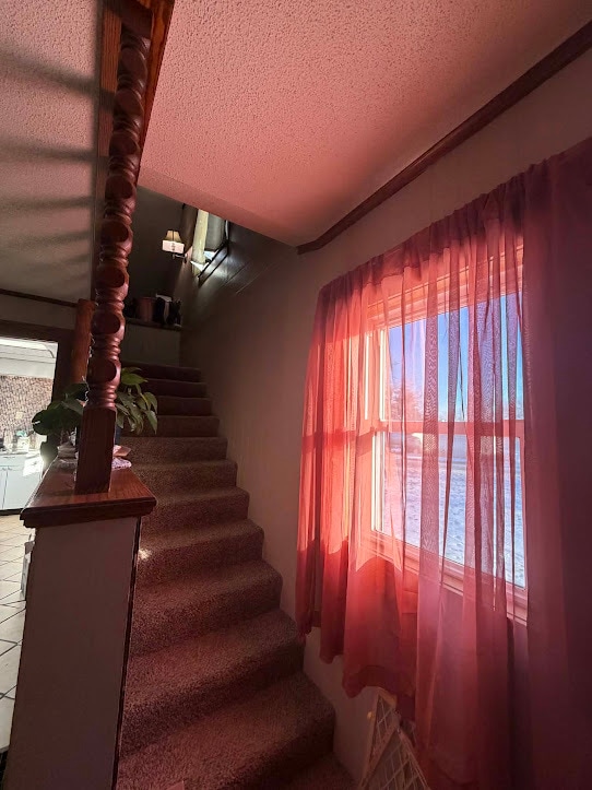 Building Photo - 1109 7th St