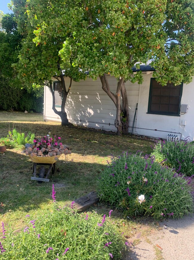 Building Photo - 3916-3912 La Colina Rd