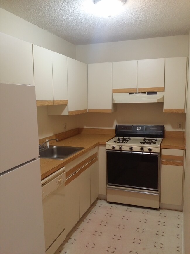 Building Photo - 22 Kenmar Dr