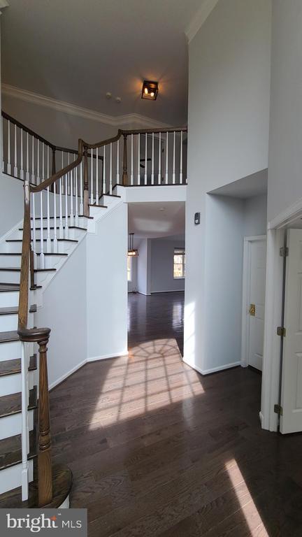 Building Photo - 10754 Blaze Dr