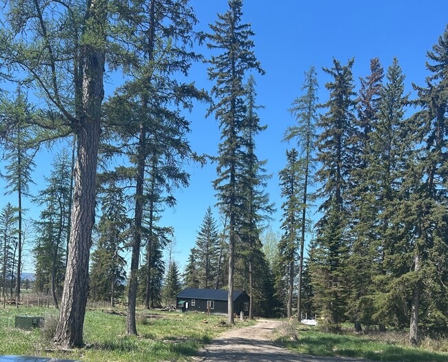 Building Photo - Beautiful & Private Scandinavian Designed Cabin