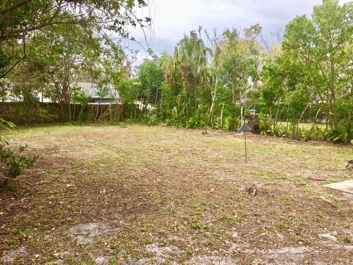 Back Yard - 519 E St