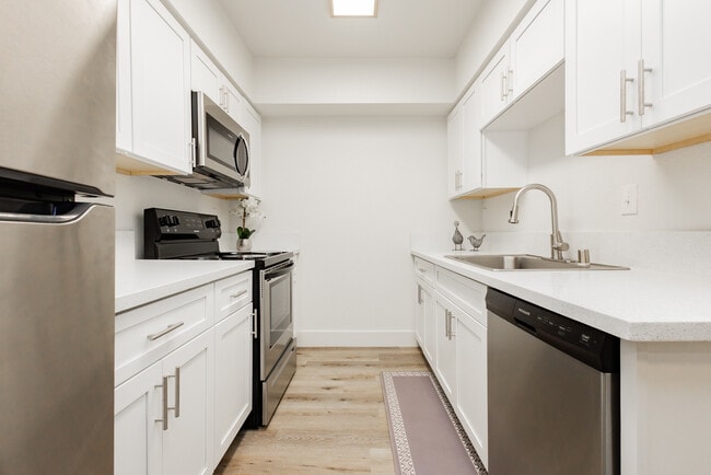 Building Photo - Courtyard 525 Apartments