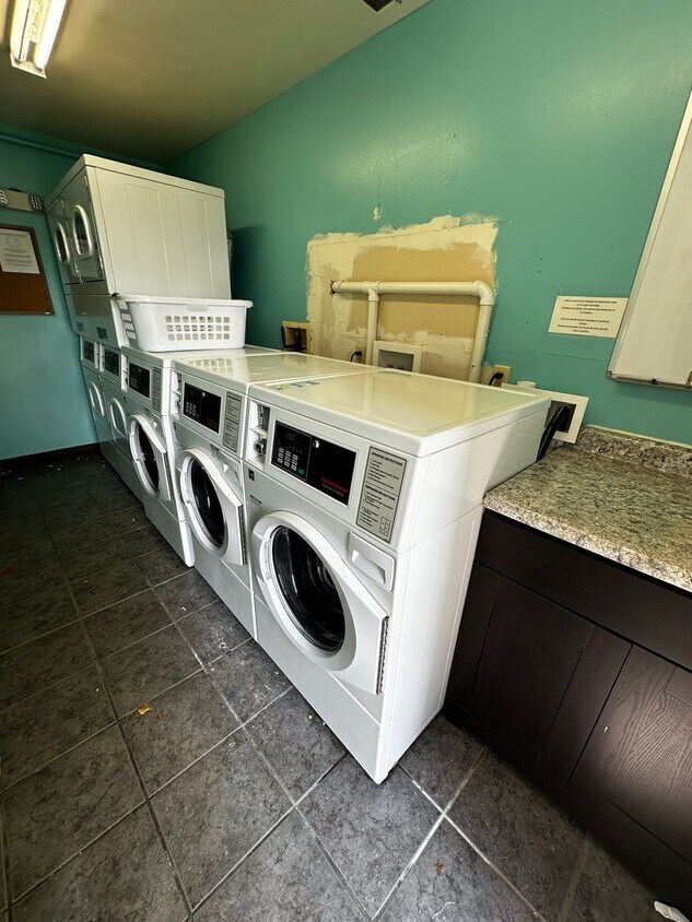 Cozy One bedroom Apartment in Black River! - Cozy One bedroom  Apartment in Black River!