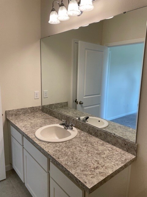 Master Bath - 2332 Litchfield Loop