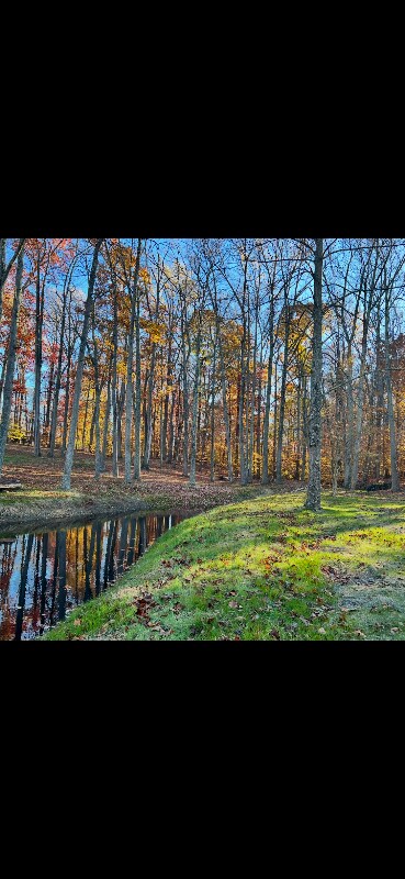 Foto del edificio - 42083 Sweet Spring Ln