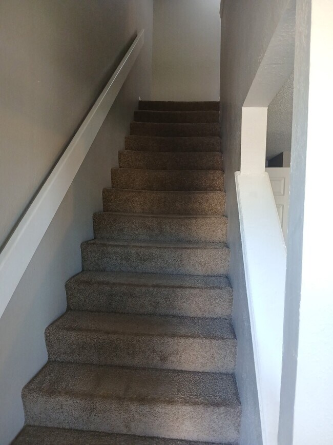 Foto del edificio - 4301 Yorkshire Dr