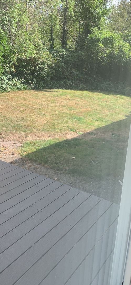 Building Photo - 5 bdrm/2 bath house with huge yard + 2 car...