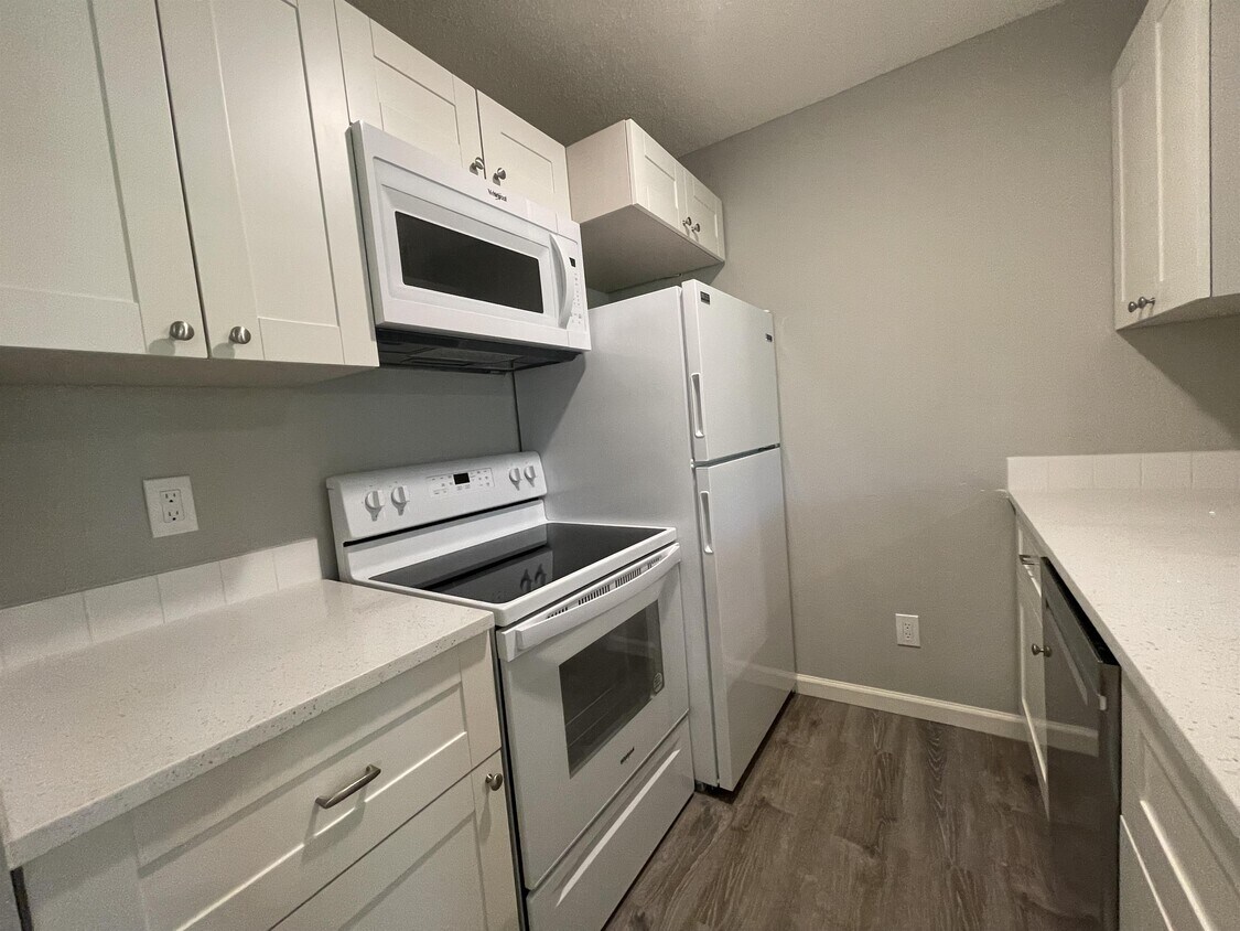 Foto principal - 211 Mt Hope Ct