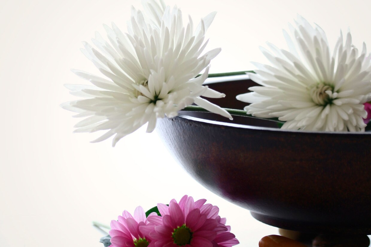 LaCrosse Estates Rentals Rapid City, SD